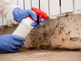 Best Emergency Mold Remediation  in England, AR